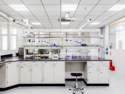 引領(lǐng)綠色未來(lái) 以開(kāi)拓創(chuàng)新與專(zhuān)業(yè)服務(wù)，鑄就質(zhì)量至上的環(huán)保咨詢(xún)新標(biāo)桿